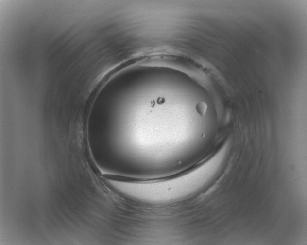 X0000064761457200602101211