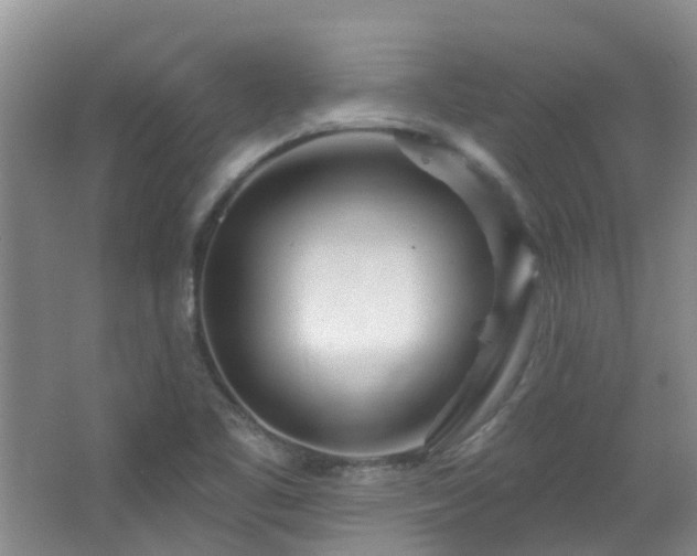 X0000064761461200602101211