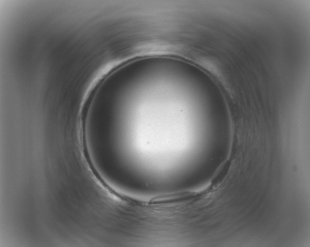 X0000064761472200602101210