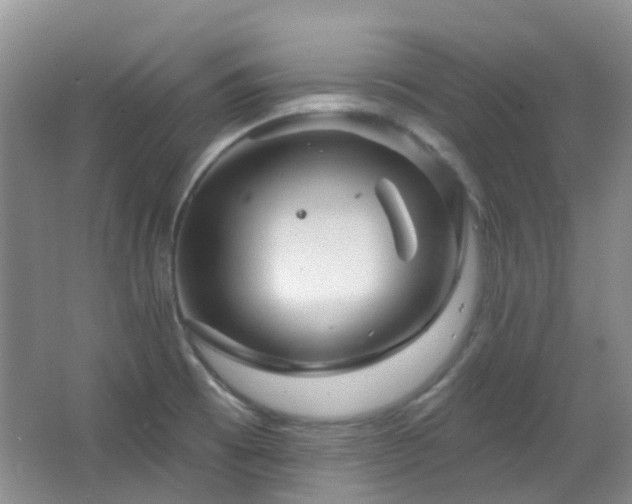 X0000064761473200602101210