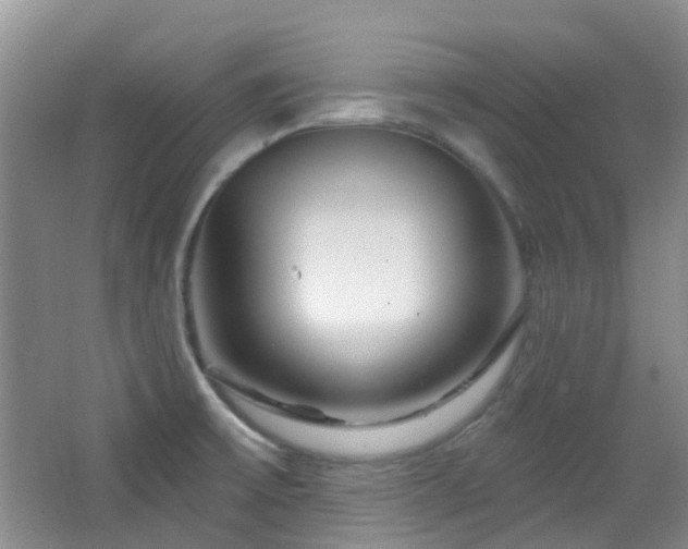 X0000064761475200602101210
