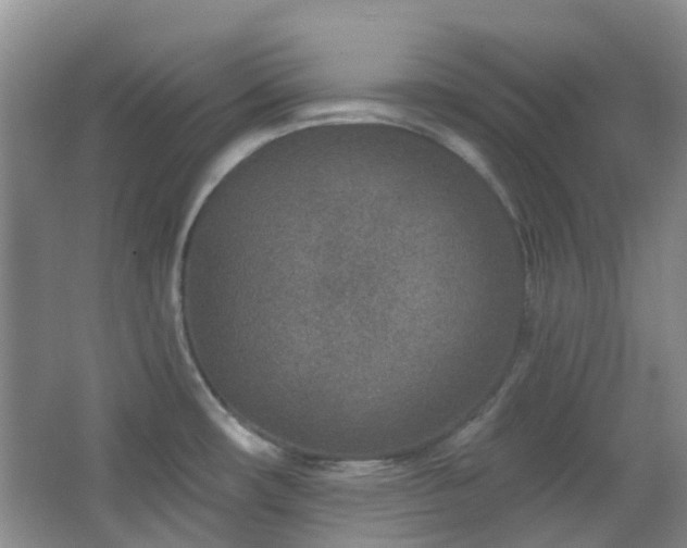 X0000064761482200602101210