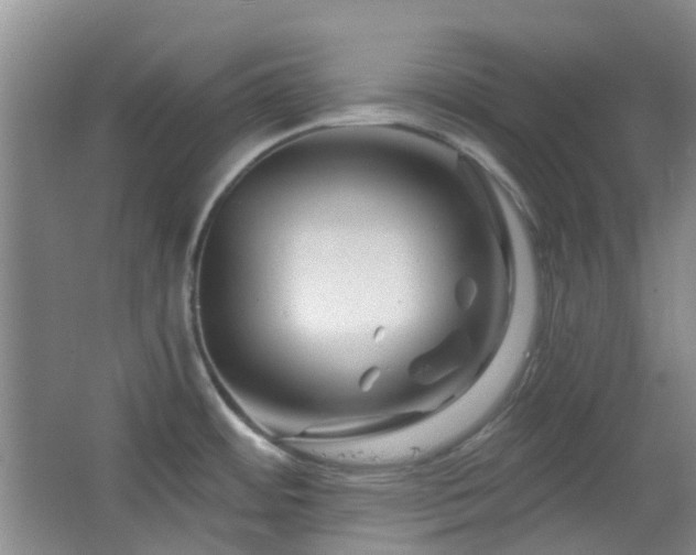 X0000064761484200602101210