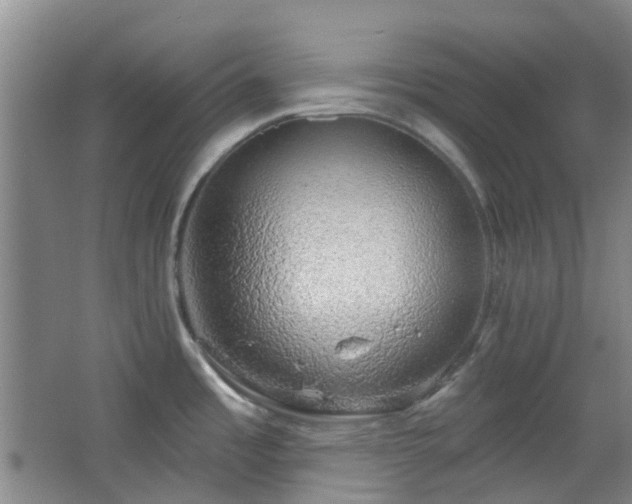 X0000064761485200602101210