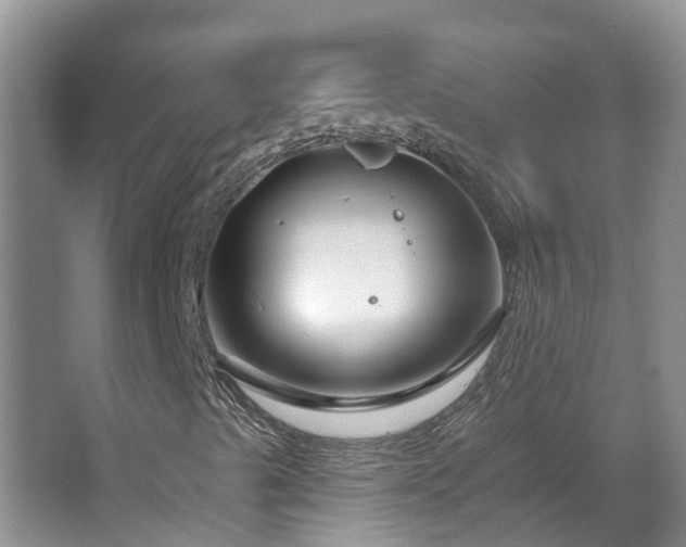 X0000064761489200602101209