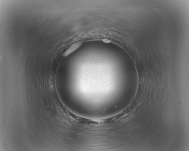 X0000064761490200602101209