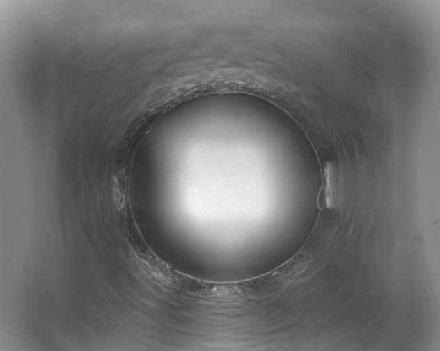 X0000064761491200602101209