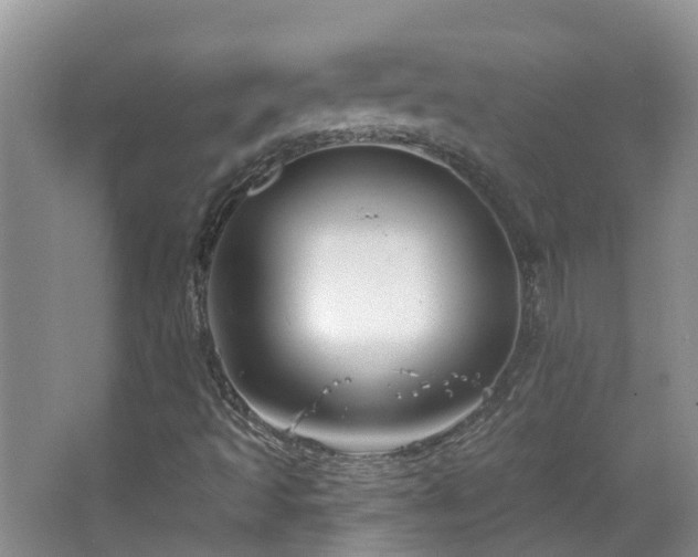 X0000064761493200602101209
