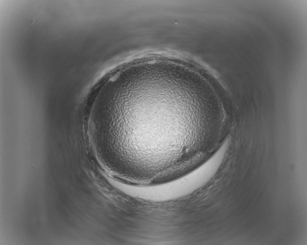 X0000064761496200602101209