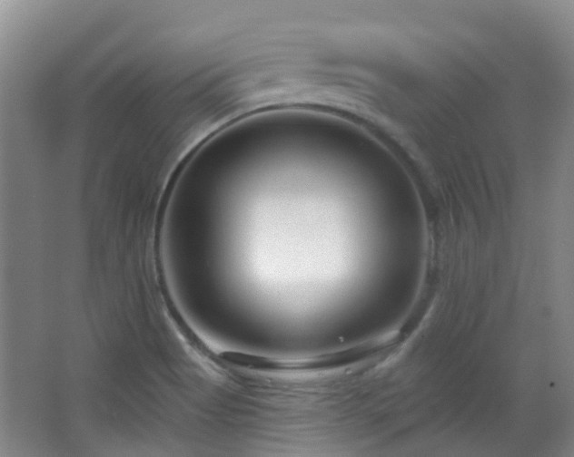 X0000064761513200602101210