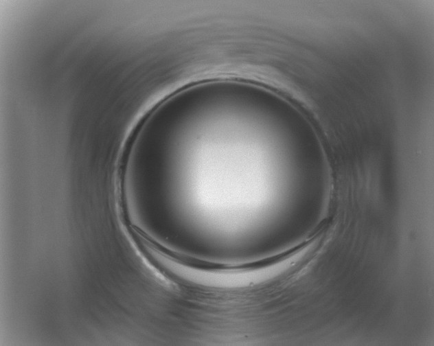 X0000064761517200602101210