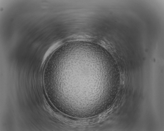 X0000064760004200602131303