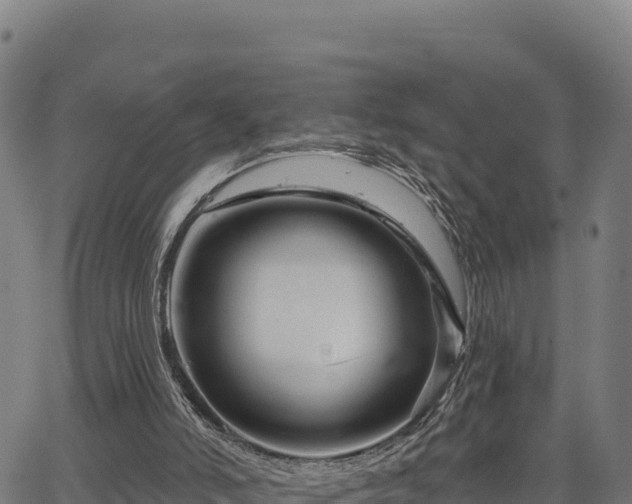 X0000064760006200602131303