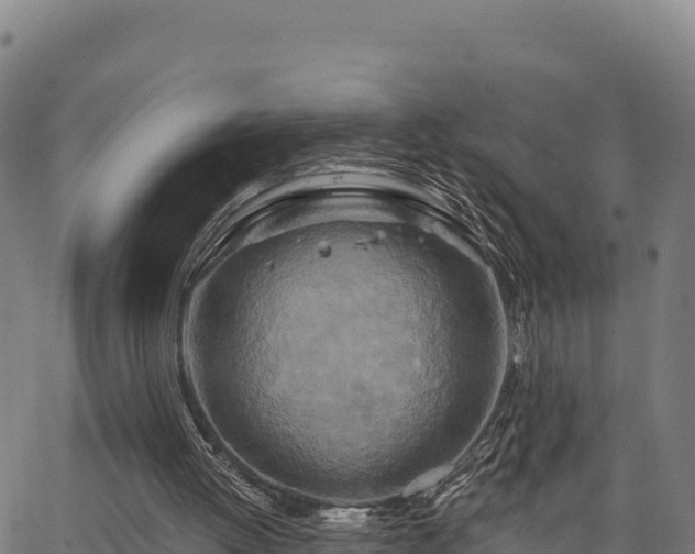 X0000064760052200602131302