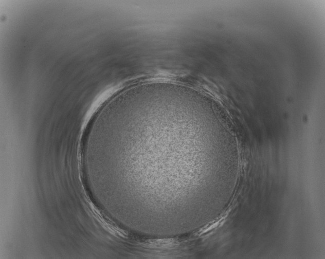 X0000064760102200602131301