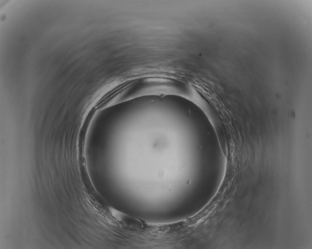 X0000064760148200602131300