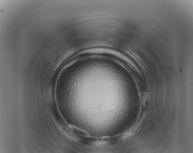 X0000064760158200602131300