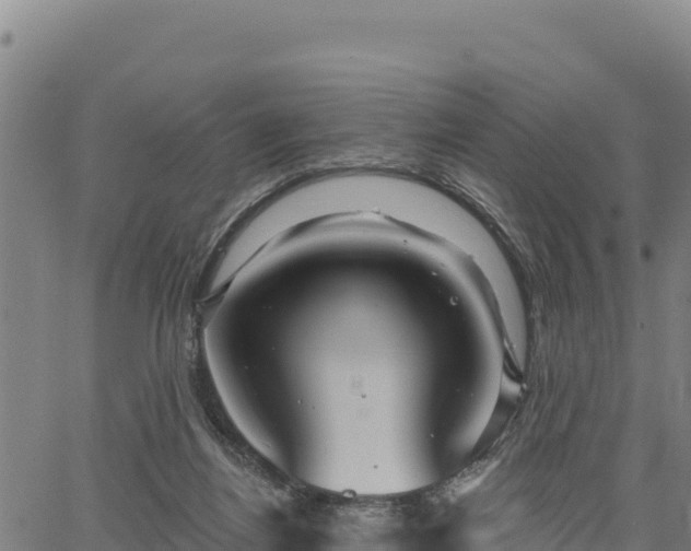 X0000064760164200602131300