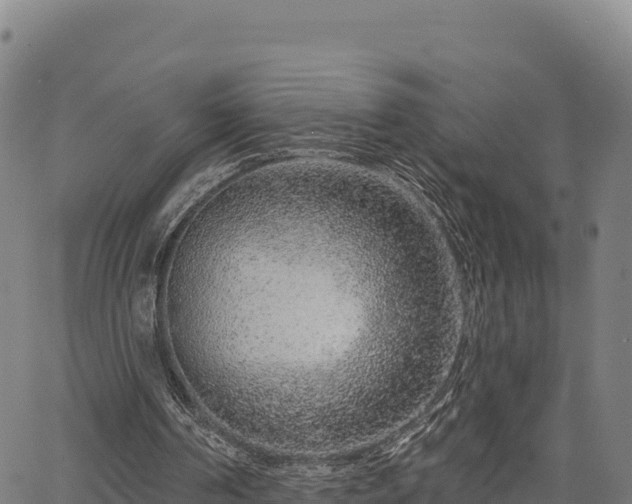 X0000064760194200602131300