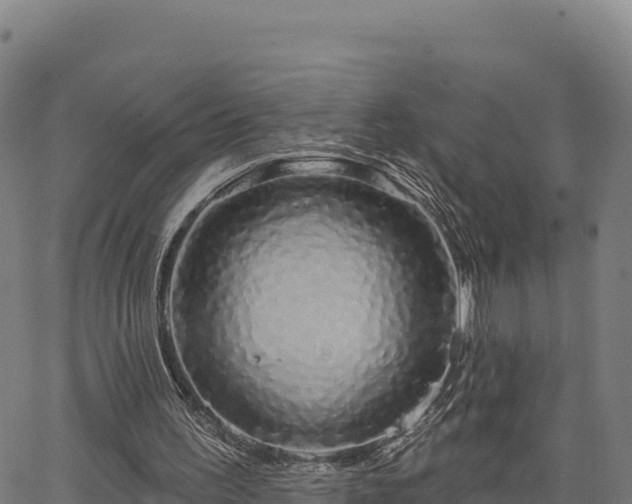 X0000064760195200602131300