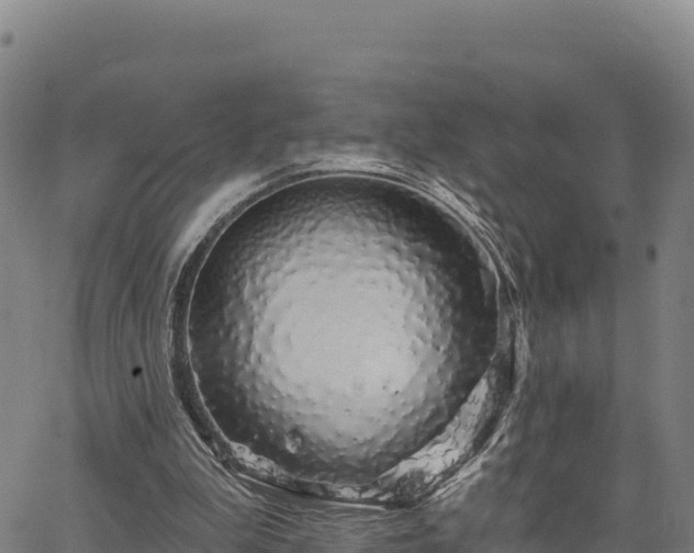 X0000064760199200602131300