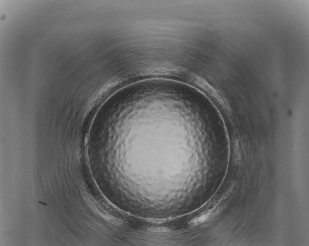 X0000064760203200602131300