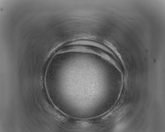 X0000064760249200602131258