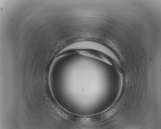 X0000064760265200602131259