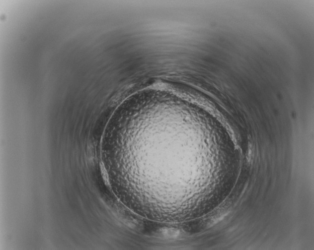 X0000064760272200602131259