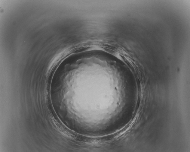 X0000064760293200602131258