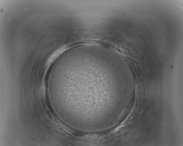 X0000064760294200602131258