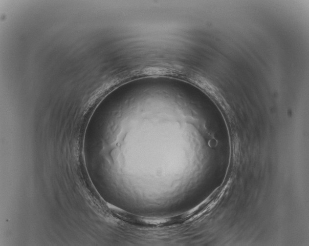 X0000064760297200602131258
