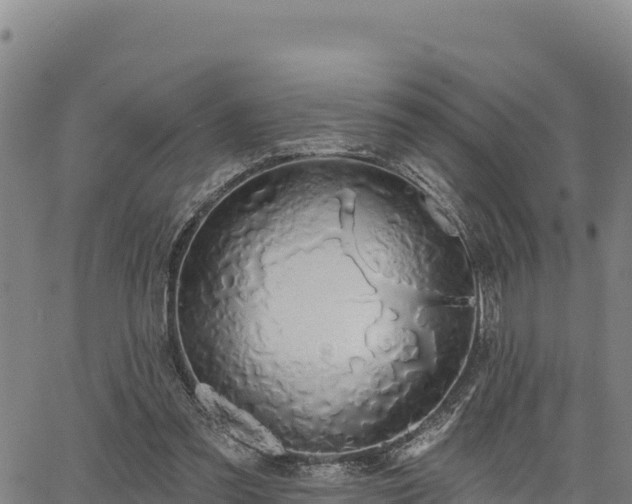 X0000064760301200602131258