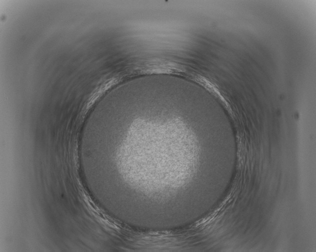X0000064760386200602131257