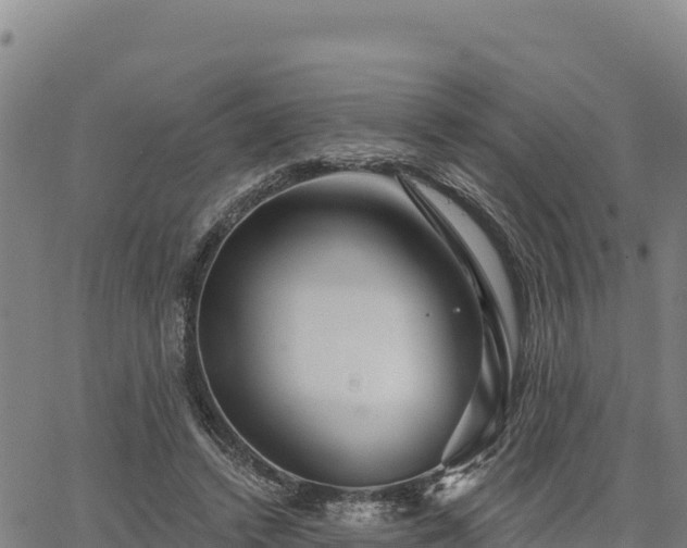 X0000064760448200602131255