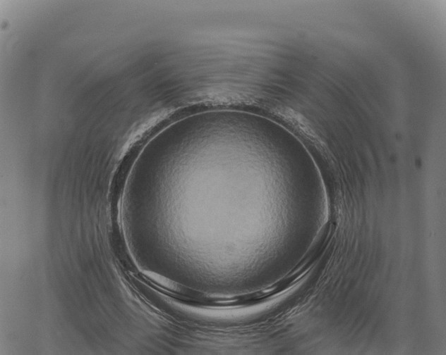 X0000064760488200602131255