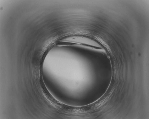 X0000064760493200602131255