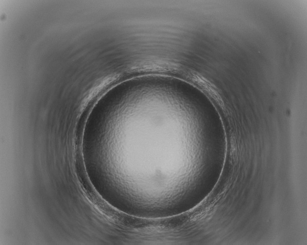X0000064760578200602131254