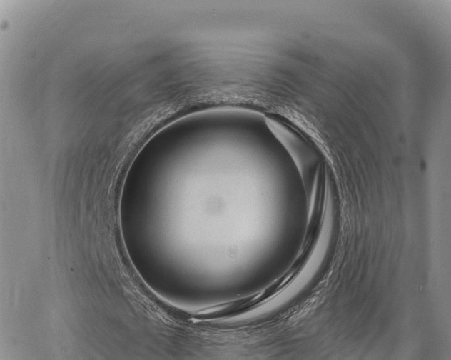 X0000064760673200602131252