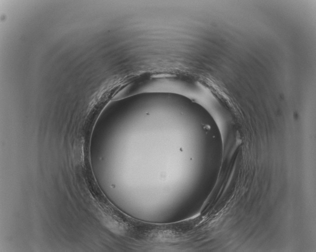 X0000064760685200602131252