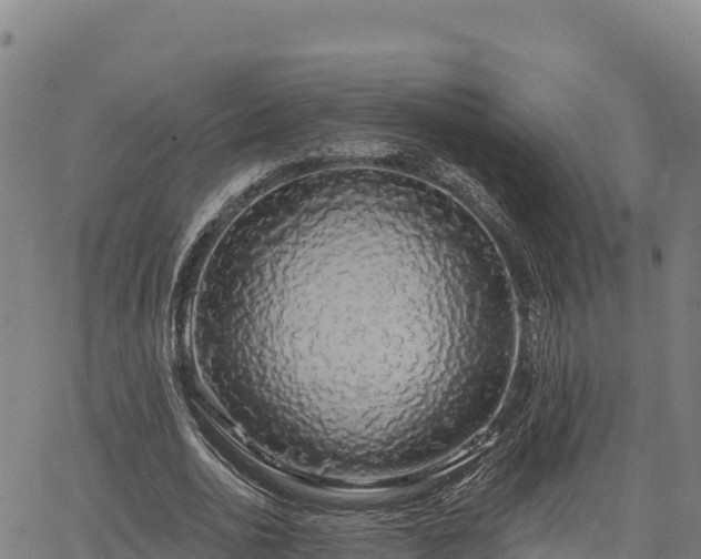 X0000064760726200602131251