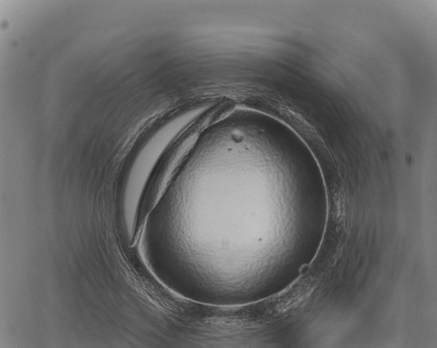 X0000064760733200602131251