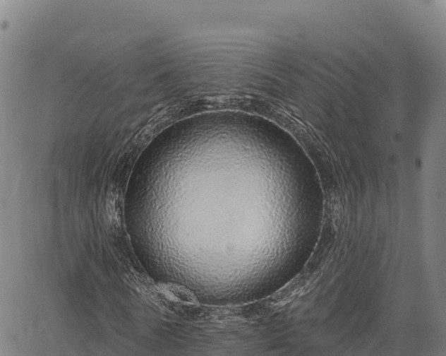 X0000064760770200602131251