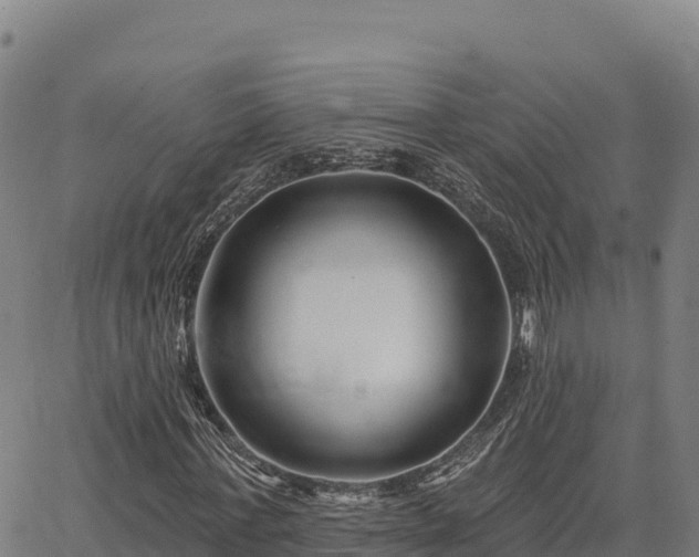 X0000064760771200602131251