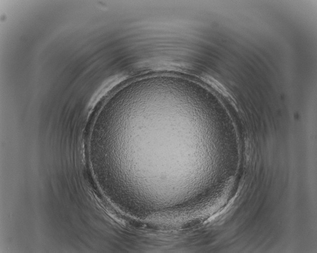 X0000064760782200602131250