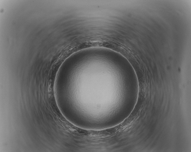 X0000064760818200602131249