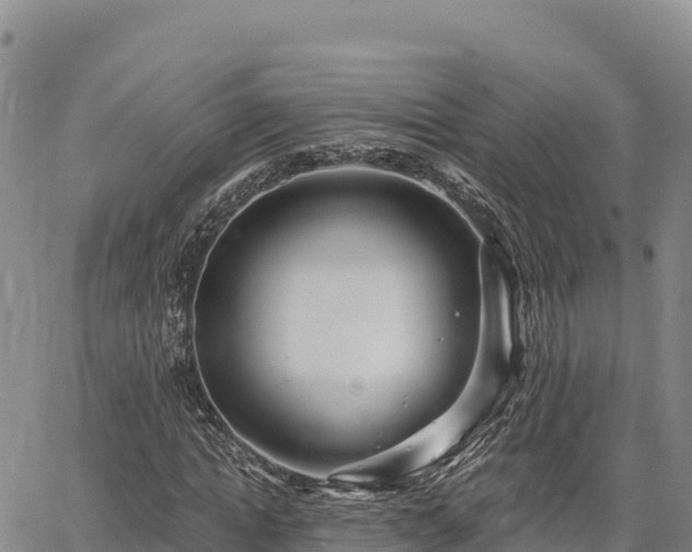X0000064760822200602131249