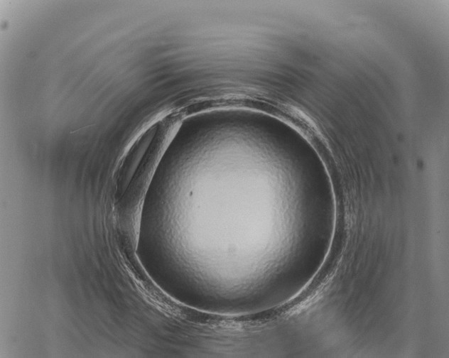 X0000064760827200602131249
