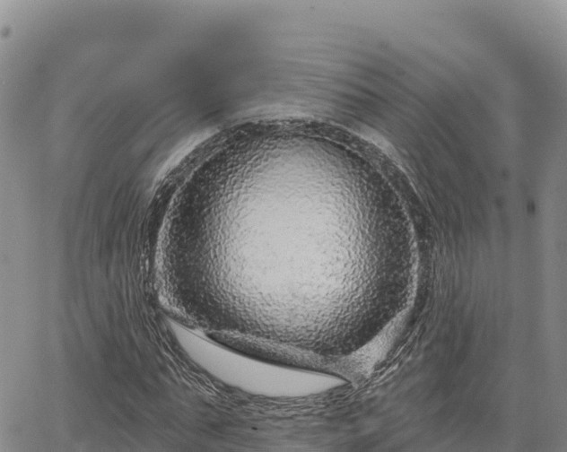 X0000064760871200602131249