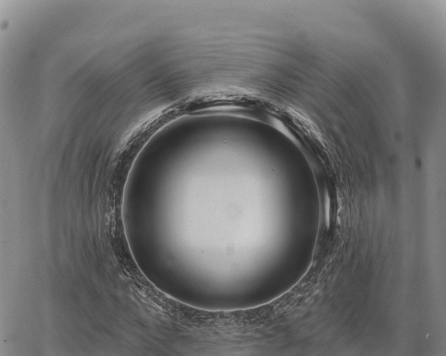 X0000064760872200602131249